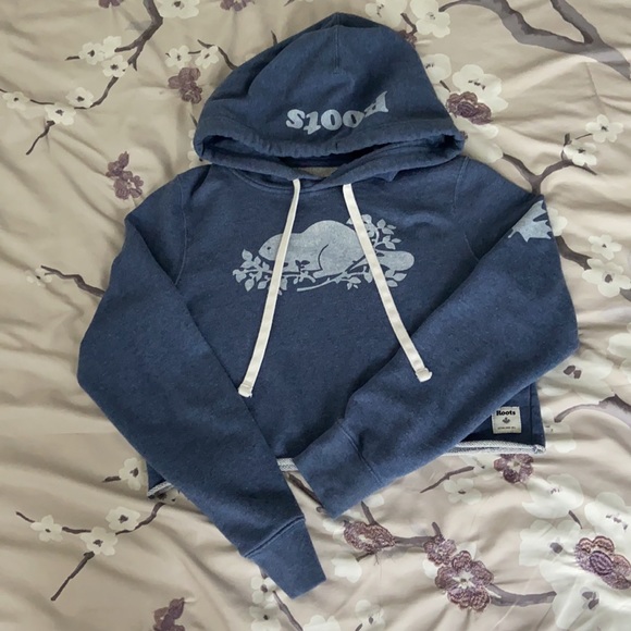 Roots Cropped Hoody - Picture 1 of 2